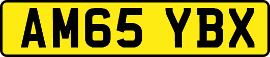 AM65YBX