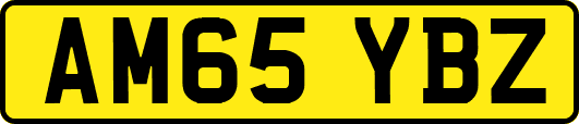 AM65YBZ