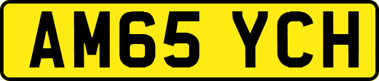 AM65YCH