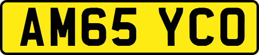 AM65YCO