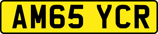 AM65YCR