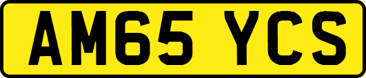 AM65YCS