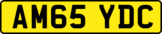 AM65YDC