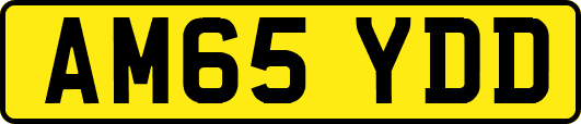 AM65YDD