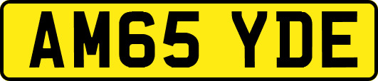 AM65YDE