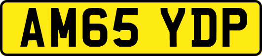 AM65YDP