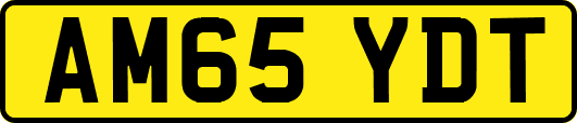 AM65YDT