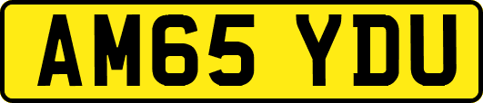 AM65YDU