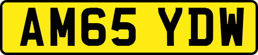 AM65YDW