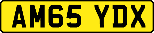 AM65YDX