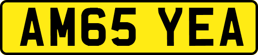 AM65YEA