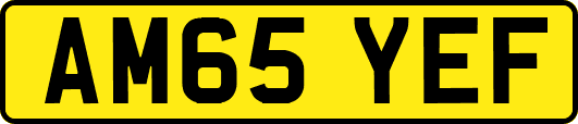 AM65YEF