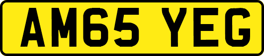 AM65YEG