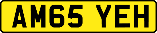 AM65YEH