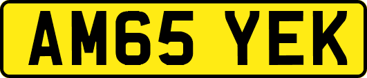 AM65YEK
