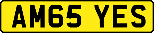 AM65YES