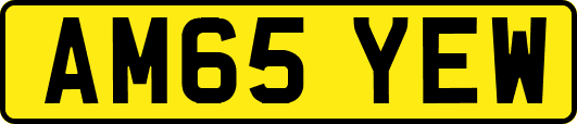 AM65YEW