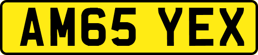 AM65YEX
