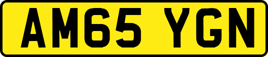 AM65YGN