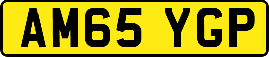 AM65YGP