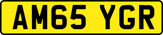 AM65YGR