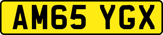 AM65YGX