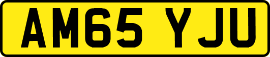 AM65YJU