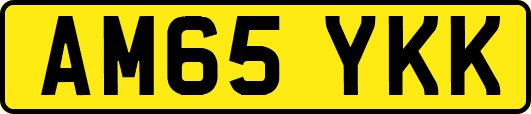 AM65YKK
