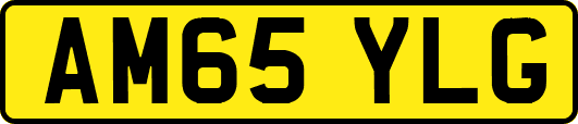 AM65YLG
