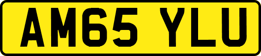 AM65YLU
