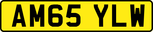 AM65YLW