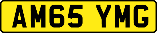 AM65YMG