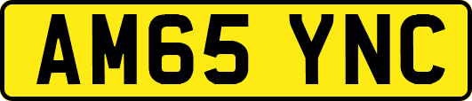 AM65YNC