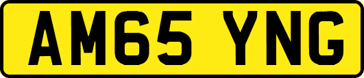 AM65YNG