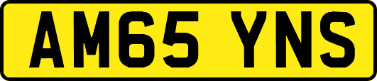 AM65YNS