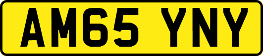 AM65YNY