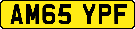 AM65YPF
