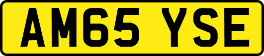 AM65YSE