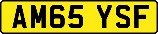 AM65YSF