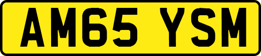 AM65YSM