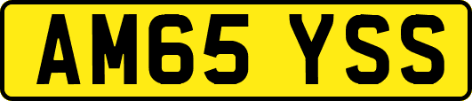 AM65YSS