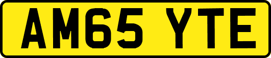 AM65YTE