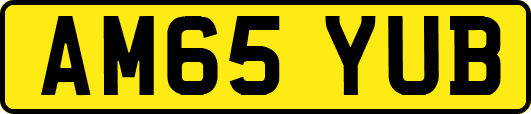 AM65YUB
