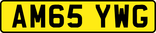 AM65YWG