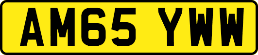 AM65YWW
