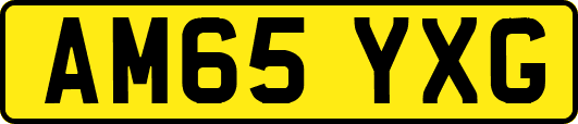 AM65YXG