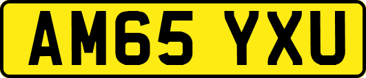 AM65YXU