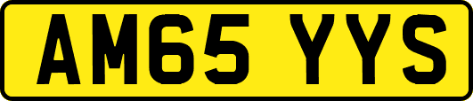 AM65YYS