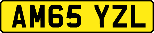 AM65YZL