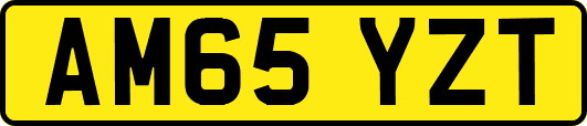 AM65YZT